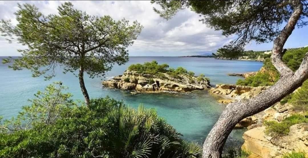 Arrels Apartaments L'Ampolla Dış mekan fotoğraf